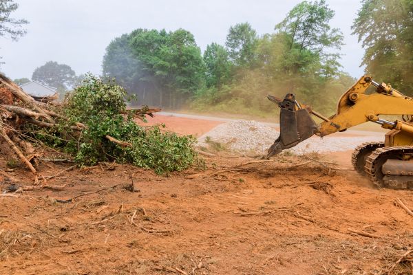Forestry Mulching Service in Merritt Island