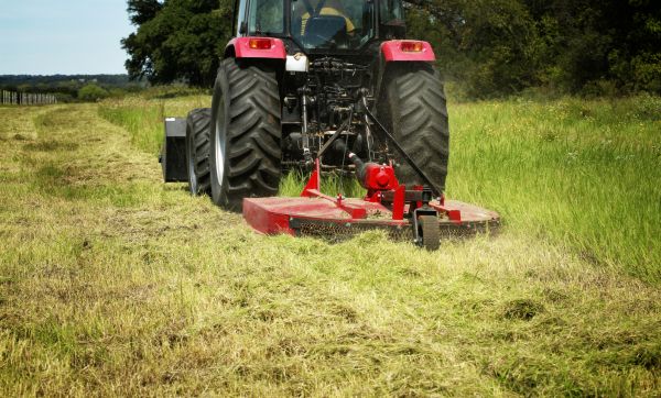 Brush Clearing Service in Merritt Island