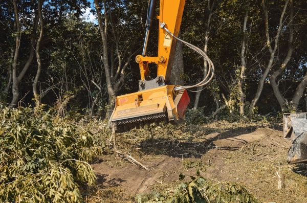 Brush Removal Service in Merritt Island