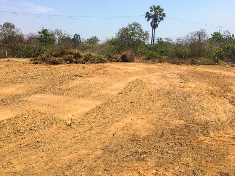 Land Clearing for Development