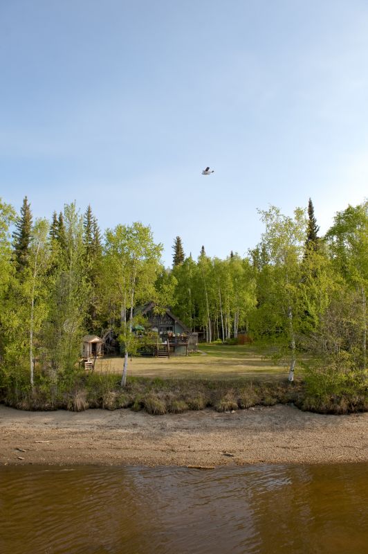 Summer Land Clearing